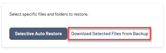 Bluehost Portal - Website Tab Manage Xcitium View Backup History Download Files