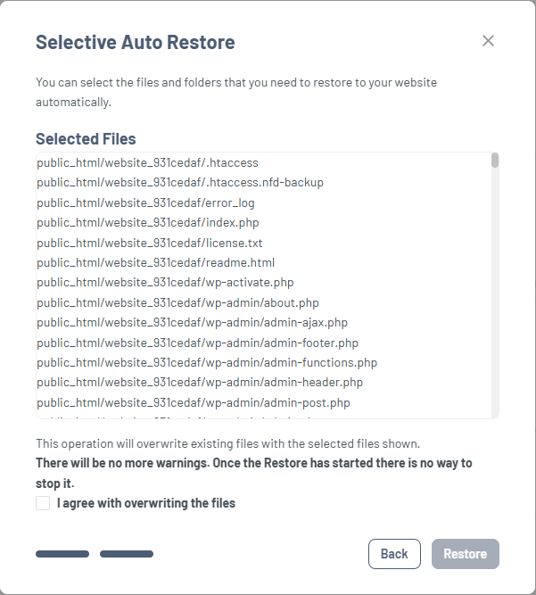 Bluehost Portal - Website Tab Manage Xcitium View Backup History Restore Option - File Restore