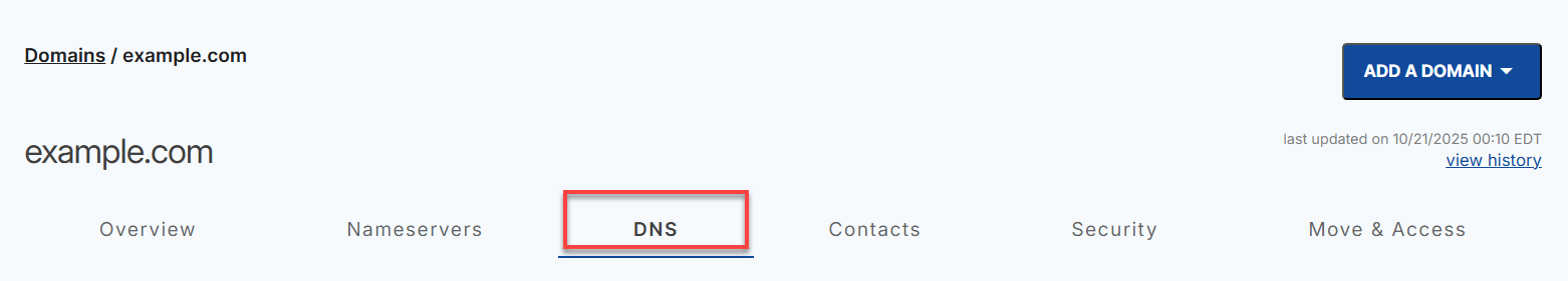 Domains tab - DNS tab