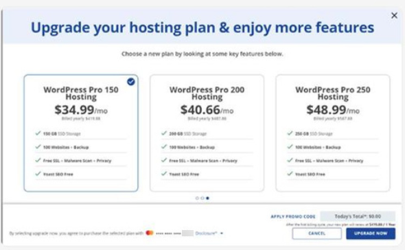 Select Pro hosting plan