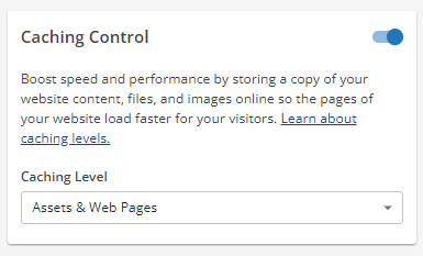 Speed tab - Caching Control