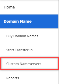 am-custom-nameservers