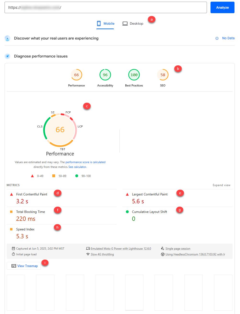 PageSpeed Performance Report - Performance Issues