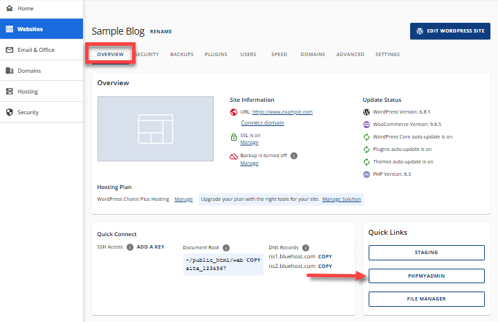 Delete Themes and Plugins - Websites tab - Overview tab