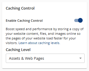 Performance tab - Caching Control