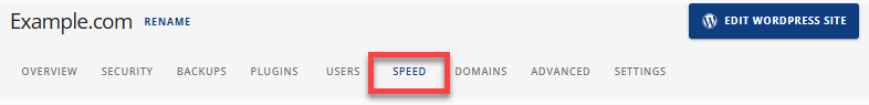 Account Manager - Speed tab