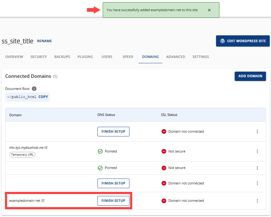 Domain Successfully Added