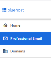 Account Manager Professional Email tab