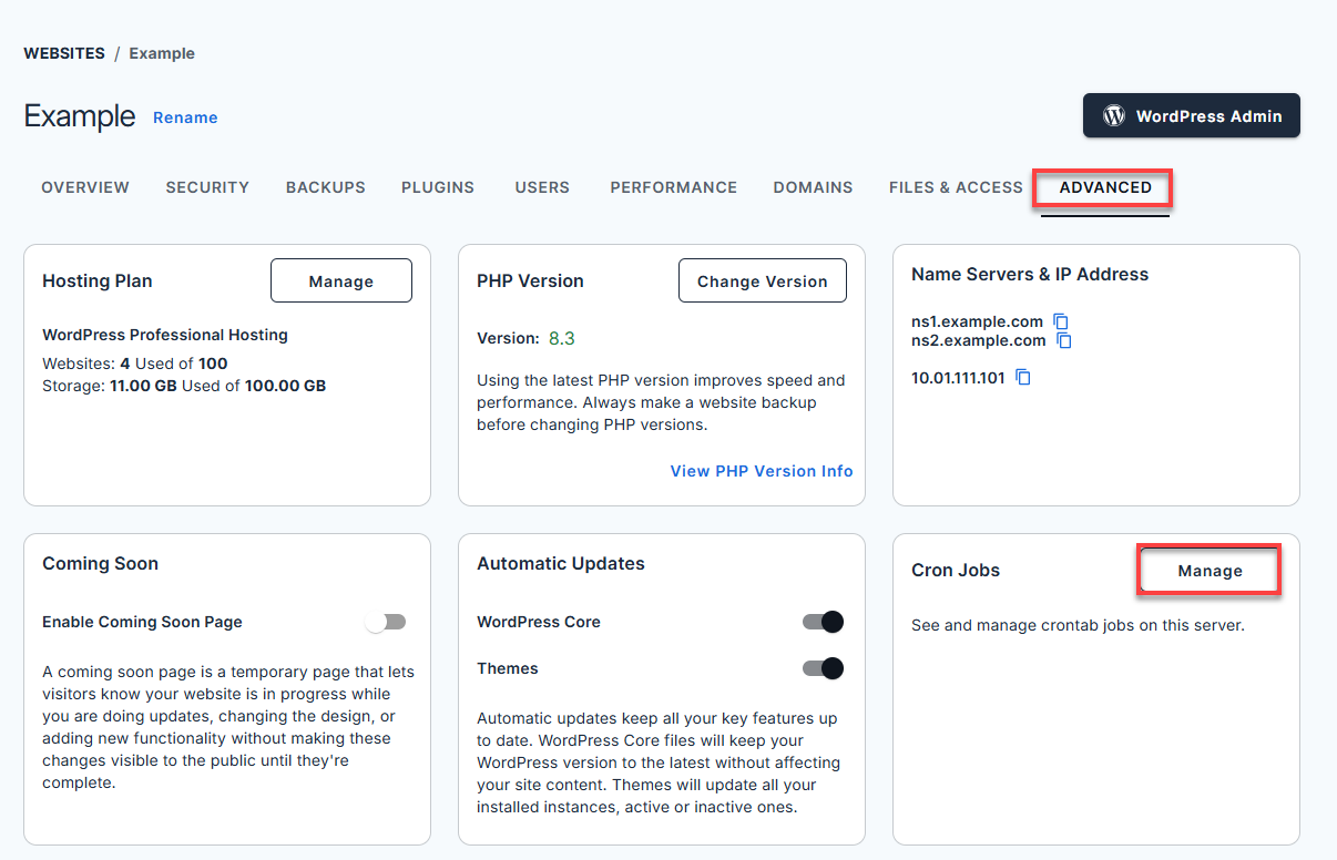advanced-settings-cron-jobs
