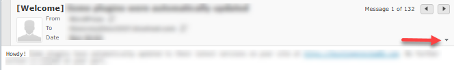 Get email headers - Roundcube - down arrow