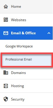 Email & Office tab - Professional Email