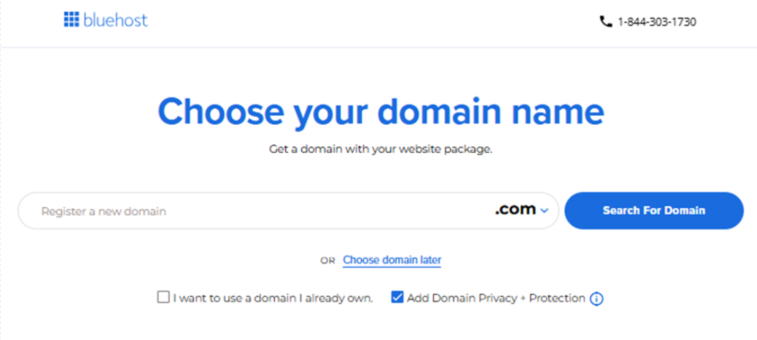 Choose your domain name