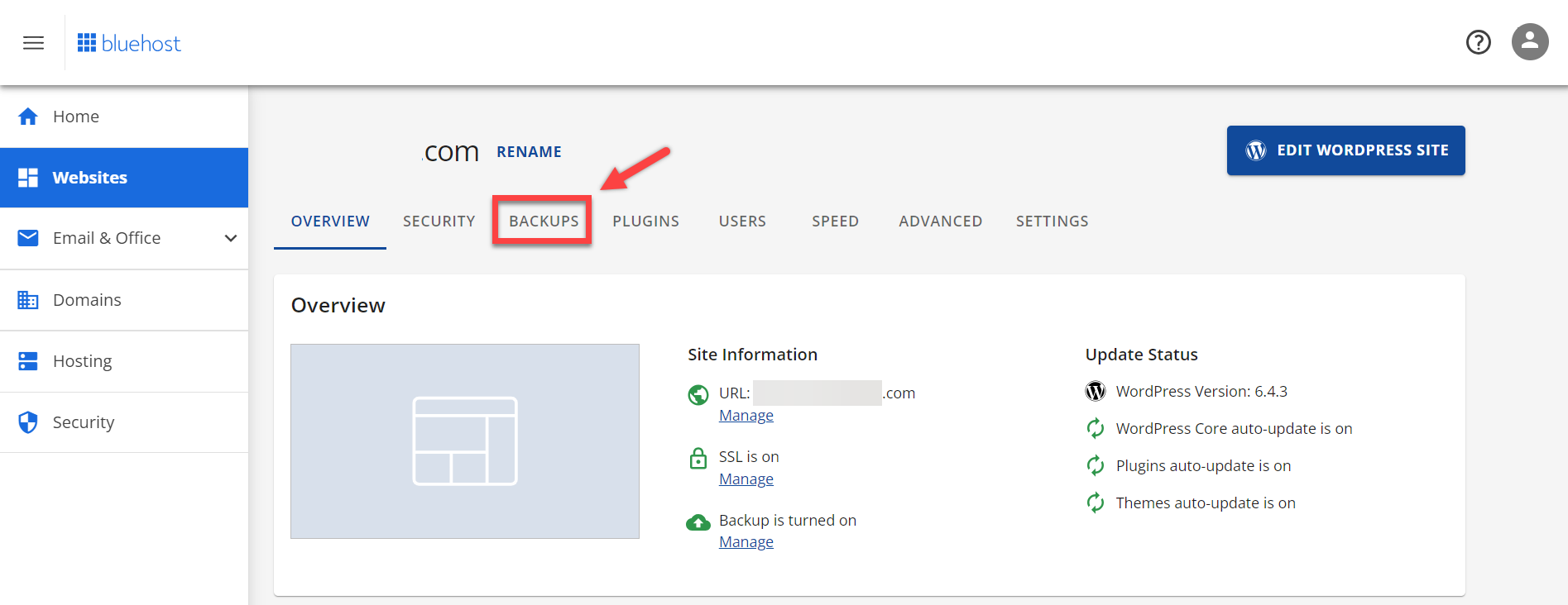 Bluehost website management screen with a 'Backups' tab highlighted, indicating a focus on site backup options.