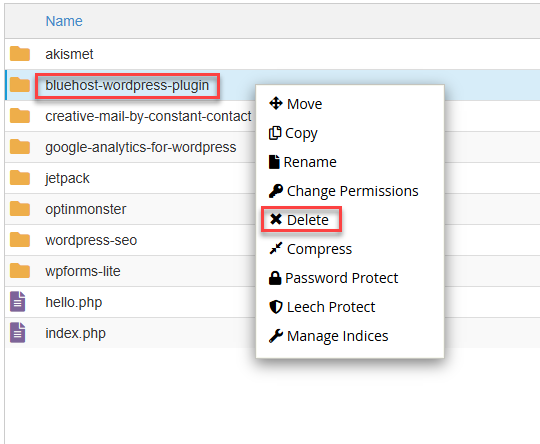 cPanel Delete Theme - Themes folder