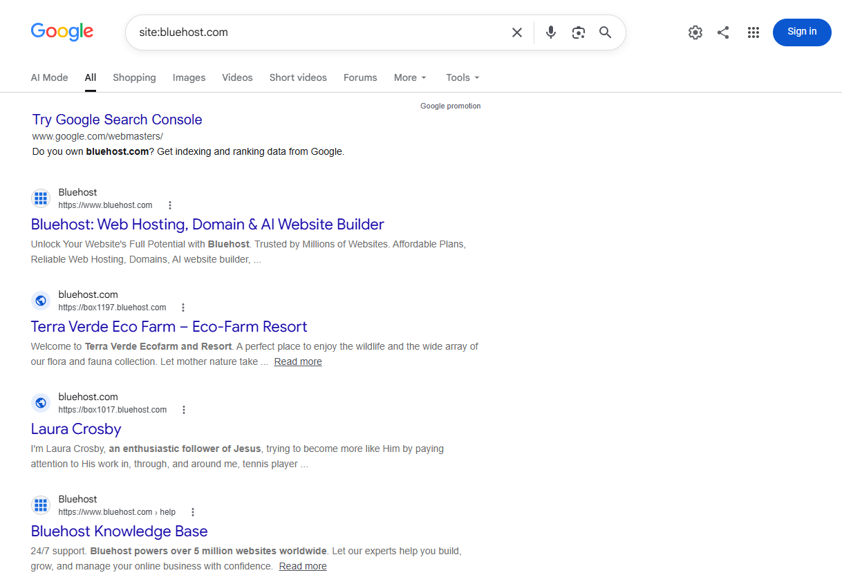 google-search-index-result