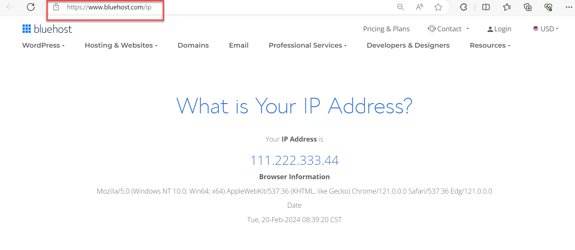 https://www.bluehost.com/ip on web address bar