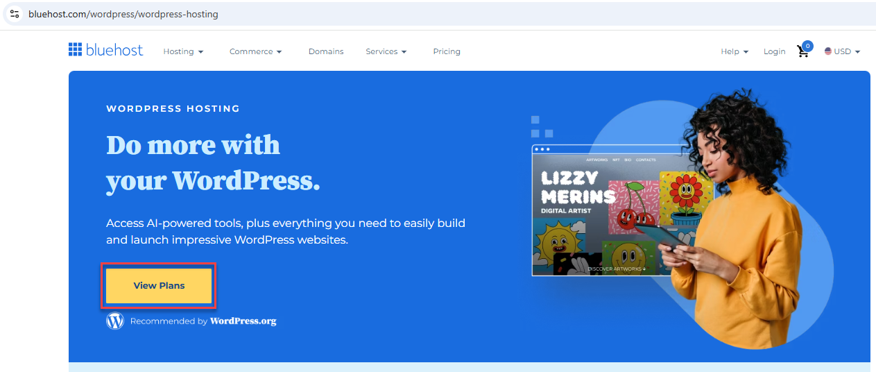 View WordPress plan