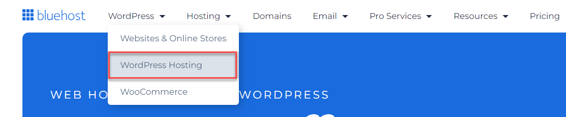 wordpress-hosting-tab