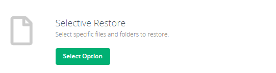 File Restore