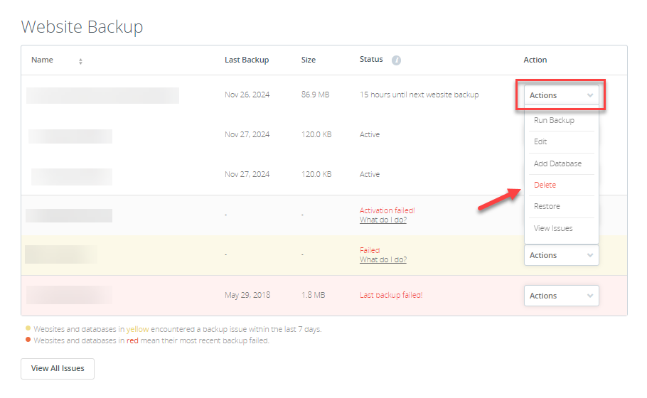Website Backup Actions