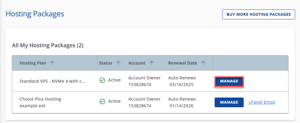 Bluehost Hosting VPS Manage