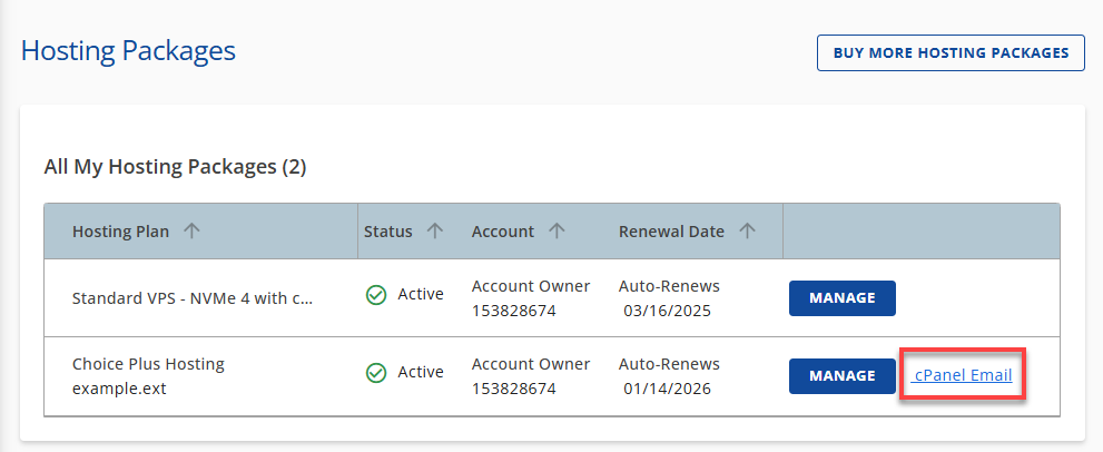 Bluehost Account Manager Multiple Hosting cPanel Email