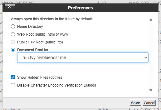 Bluehost - cPanel - File Manager - Show Hidden Files