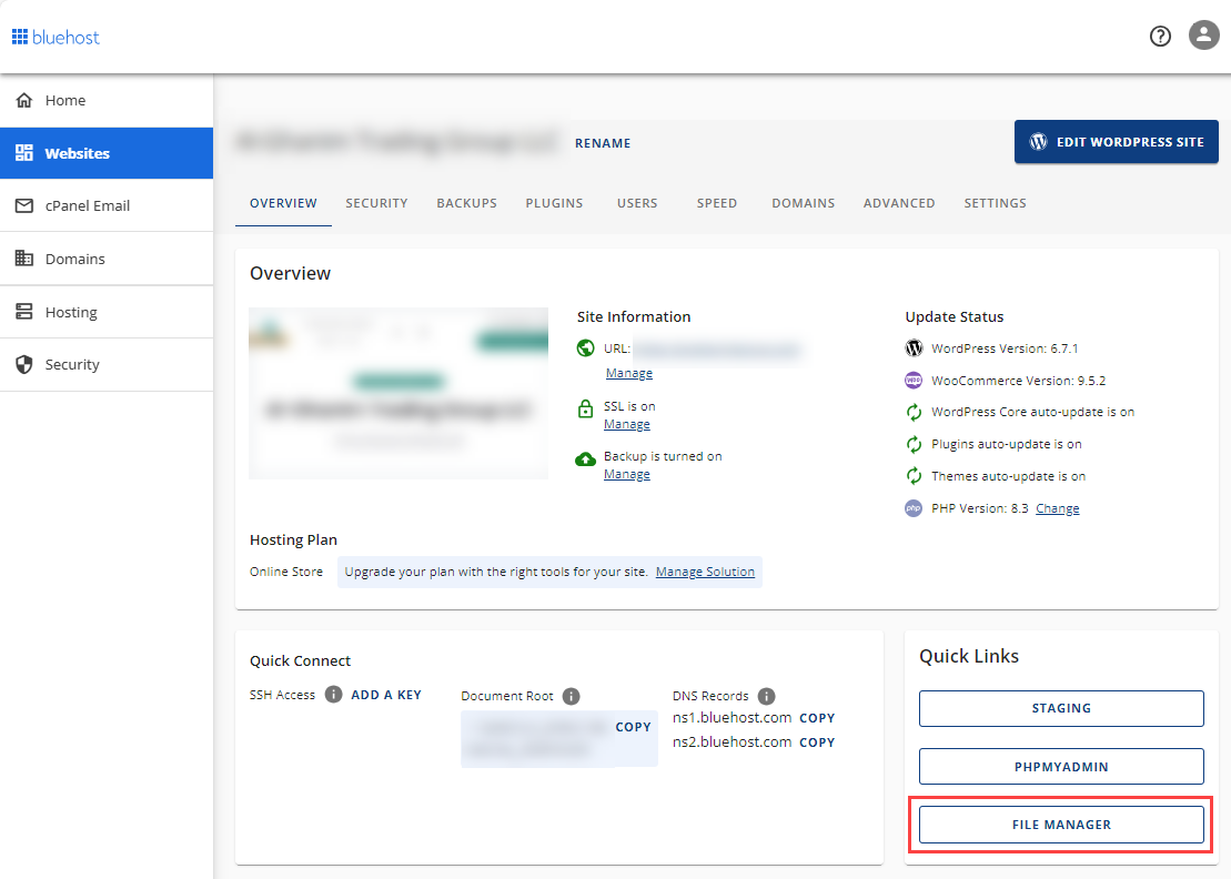 File Manager's Tab