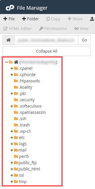 File Manager button