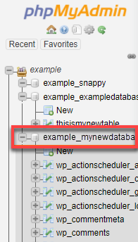 phpMyAdmin database name