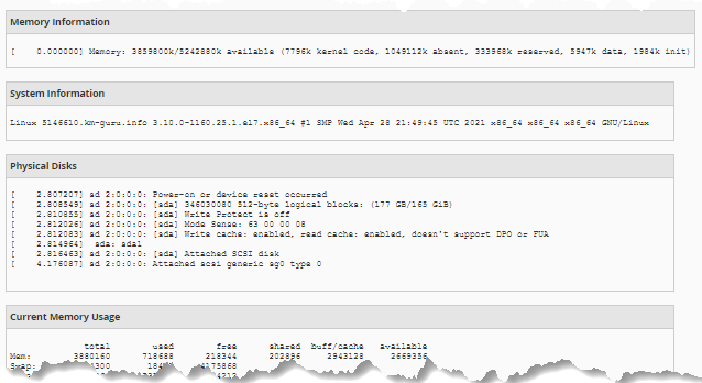 WHM - Server Information - RAM Info