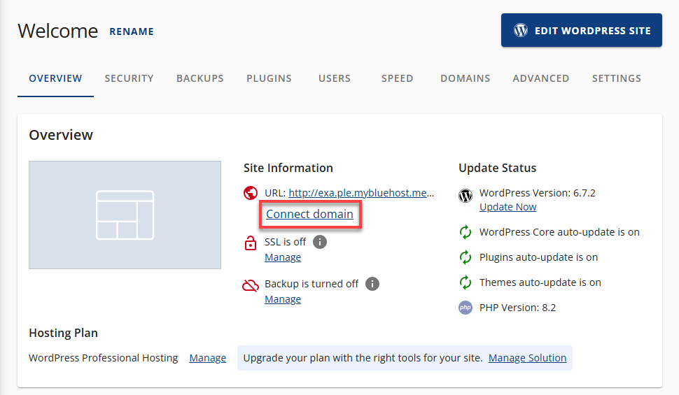 Bluehost Websites Tab - Site Settings Site Information Connect domain