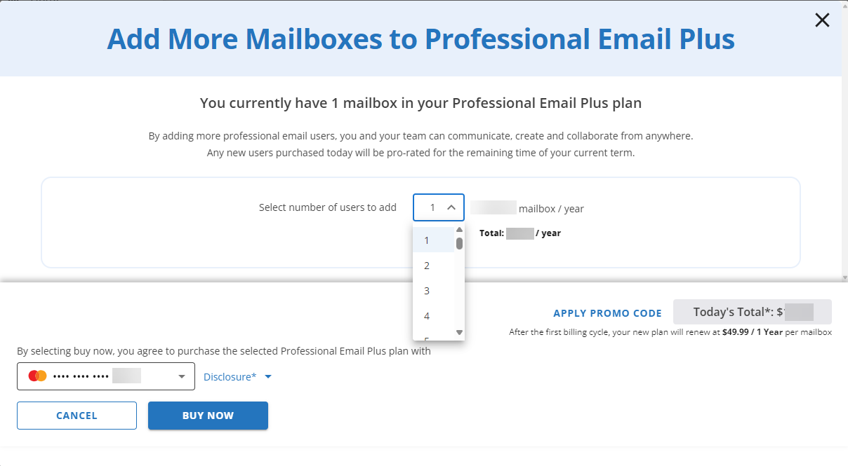 Bluehost Professional Email Management Options - Add More Users Buy Now