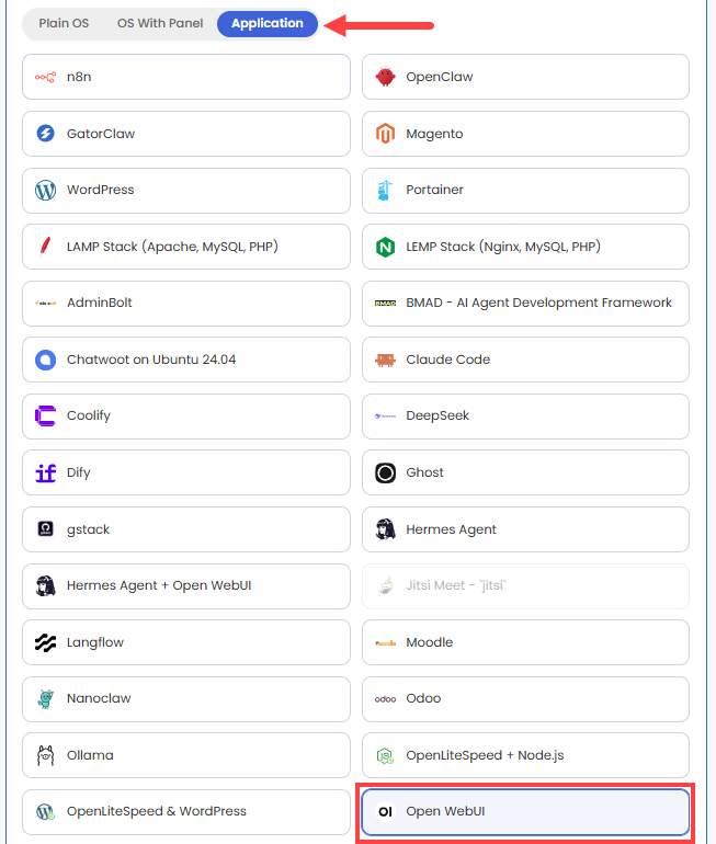 Self-Managed VPS - Application tab - Open WebUI