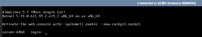 Self-Managed VPS - Console - Log in