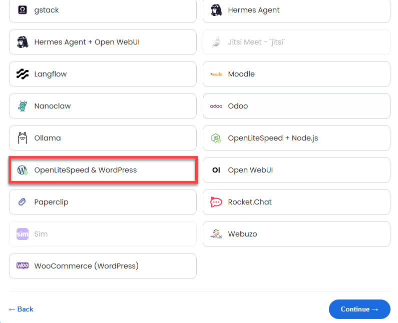 VDS hosting - Software - Application tab - OpenLiteSpeed & WordPress