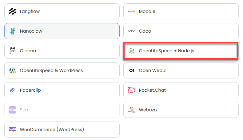 VDS hosting - Software - Application tab - OpenLiteSpeed + Node.js