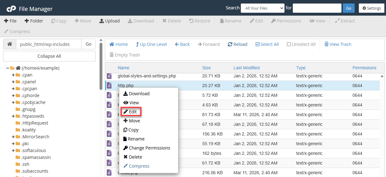 BH File Manager wp-incldes Edit http.php