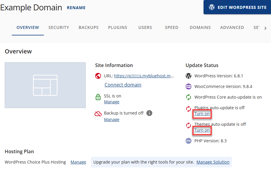 Bluehost Settings Auto Updates Off
