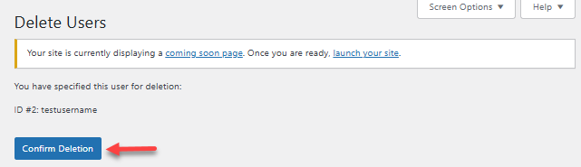 Users - Confirm Deletion