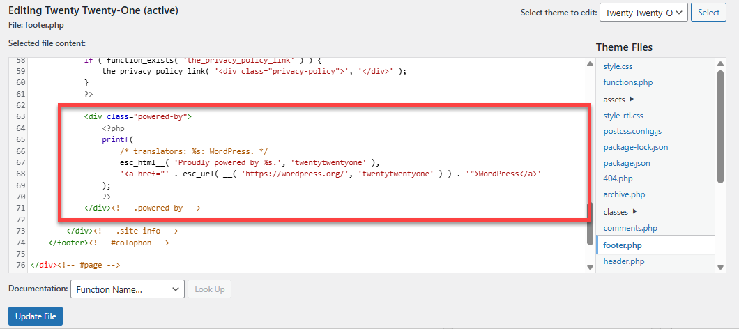 Theme Files - footer.php - Search for block of codes 