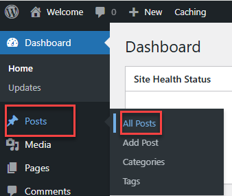 WordPress All Posts