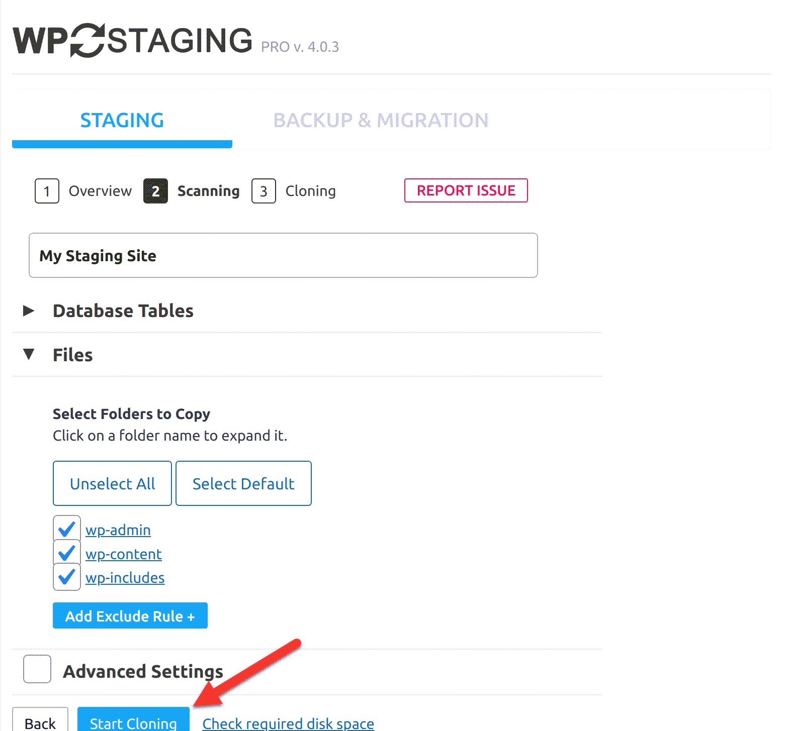 wp-wpstaging-confirmation
