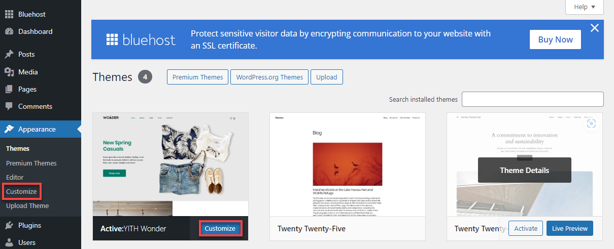 Bluehost WP Dashboard Appearance Customize