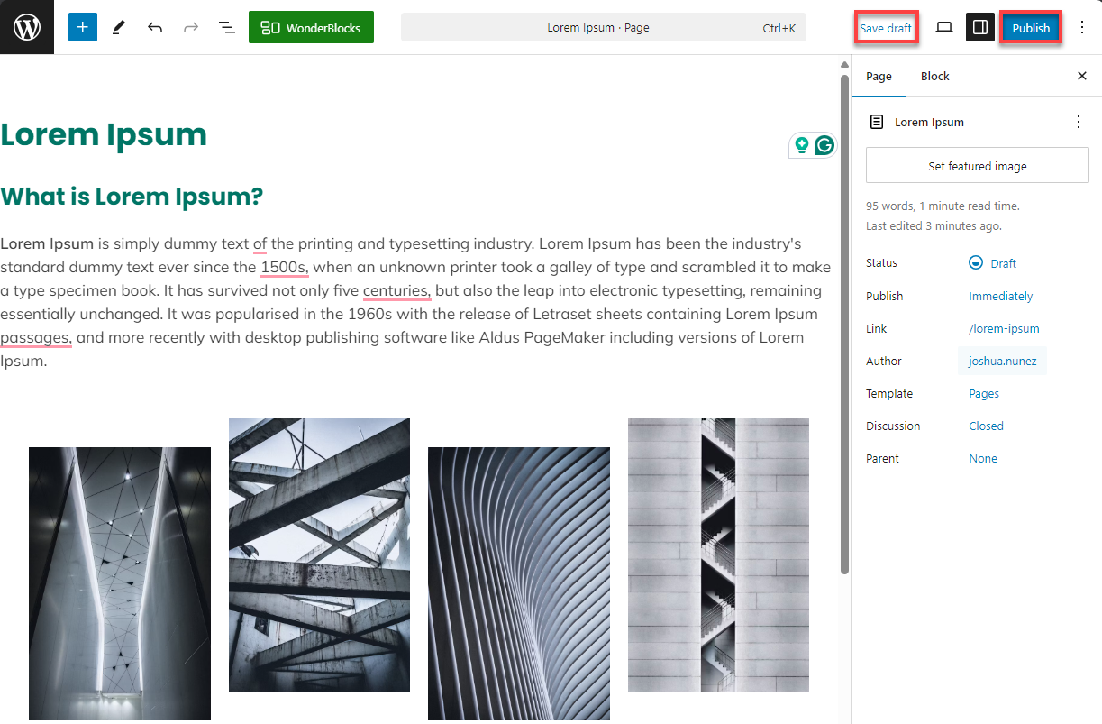 Bluehost WP Dashboard Pages  Add New Page - Save or Publish