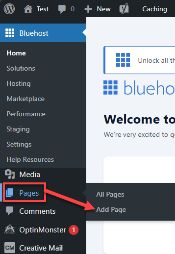 Bluehost WP Dashboard Pages  Add New Page