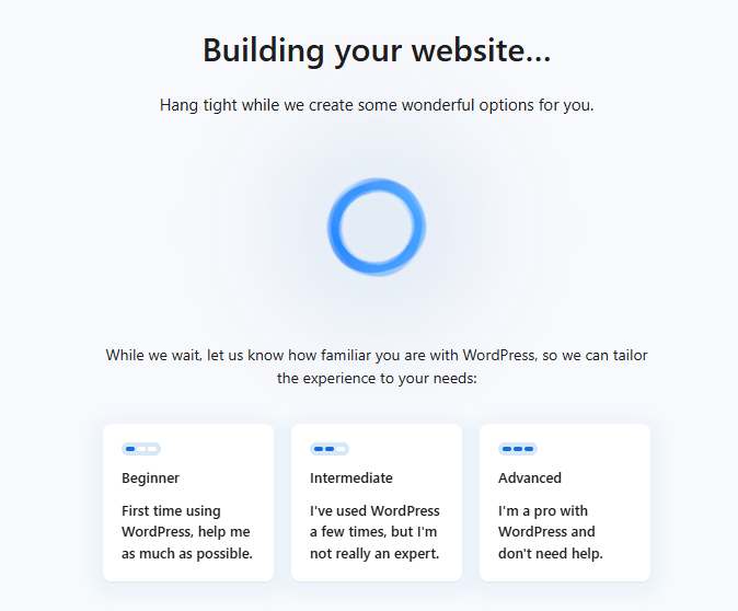 WordPress Experience